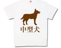中型犬