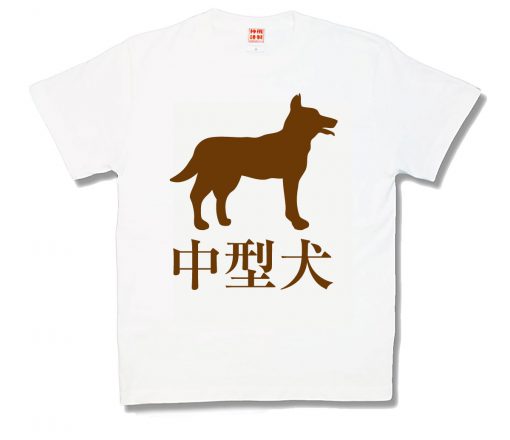中型犬