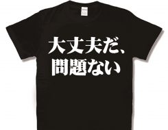大丈夫だ、問題ない 新