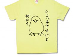 ひよっ子
