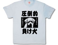 圧倒的負け犬