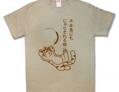 じゃれ猫
